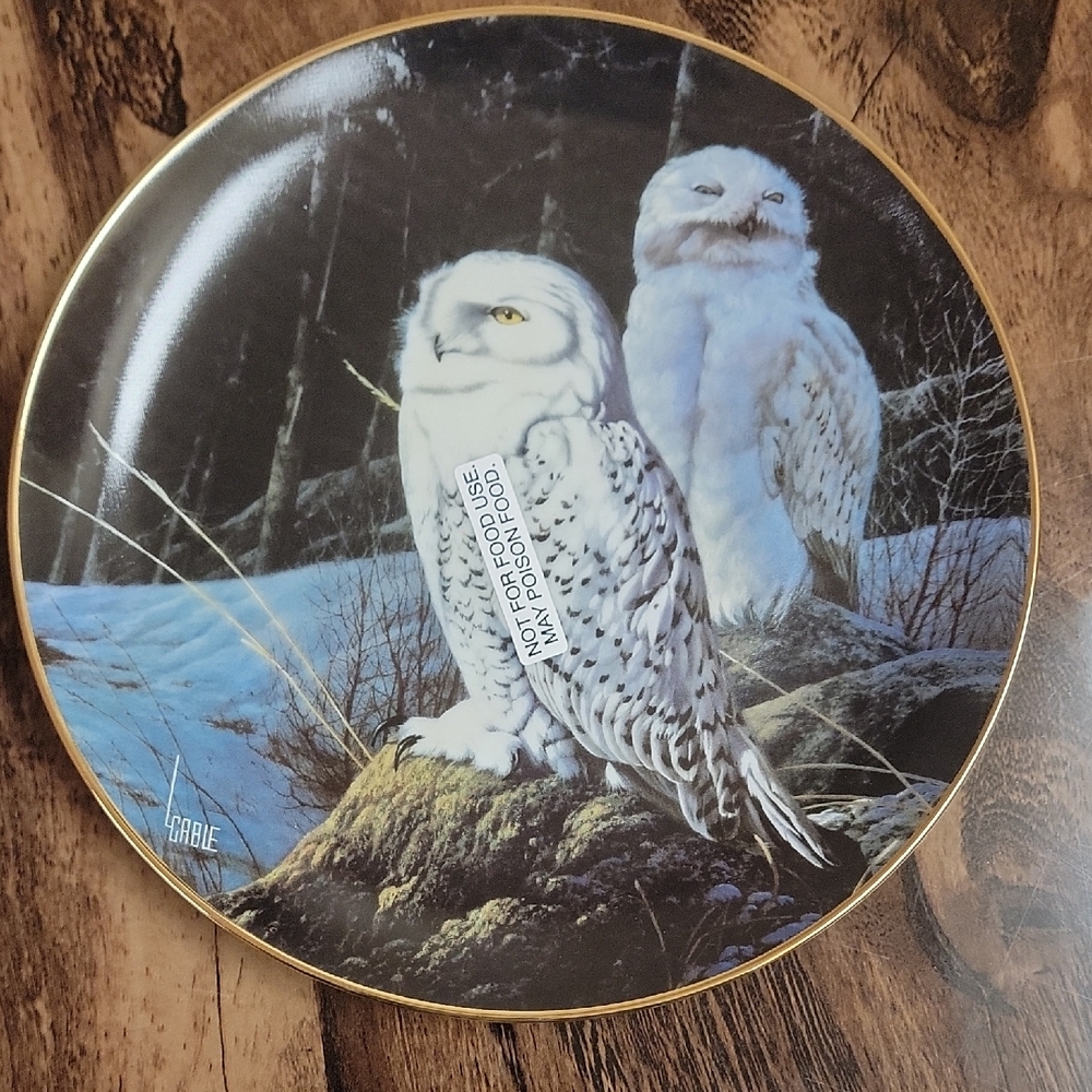 Danbury Mint Snowy Owl Decorative Plate - White and Gold